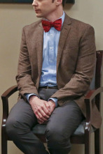 Imagen de The Big Bang Theory (T9): Ep.18 El deterioro de la soledad - 1