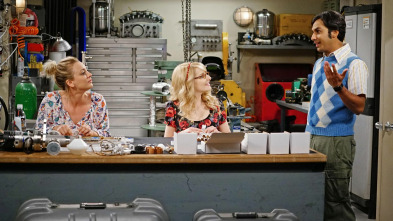 Imagen de The Big Bang Theory (T9): Ep.19 La excursión a por soldadura - 2