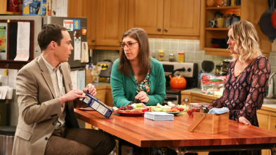 Imagen de The Big Bang Theory (T9): Ep.24 La convergencia de la convergencia - 2