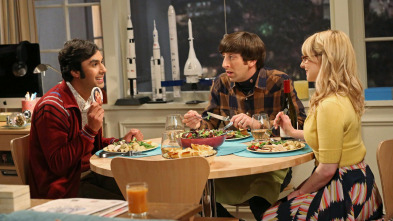 Imagen de The Big Bang Theory (T8): Ep.9 La desviación del tabique - 2