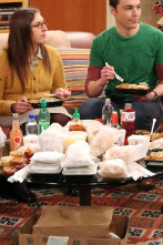 Imagen de The Big Bang Theory (T8): Ep.22 La transmisión de la graduación - 1