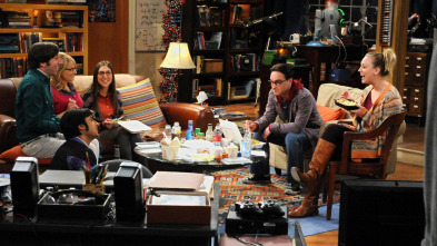 Imagen de The Big Bang Theory (T5): Ep.15 La contracción de la amistad - 2