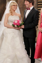 Imagen de The Big Bang Theory (T5): Ep.24 La reflexión de la cuenta atrás - 1