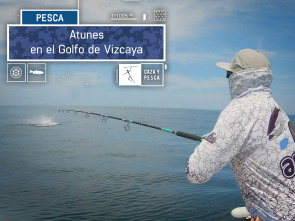Imagen de Atunes en el Golfo de Vizcaya - 2