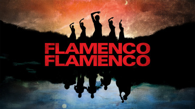 Imagen de Flamenco, Flamenco - 2