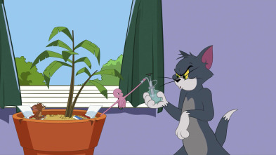 Imagen de El Show de Tom y... (T3): Calamar Jerry - 2