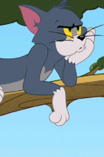 Imagen de El Show de Tom y... (T3): Buscando el amor - 1
