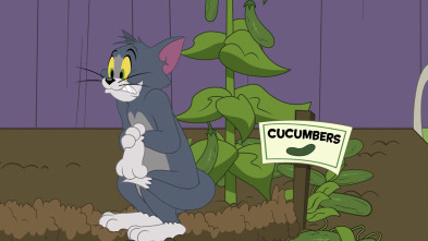 Imagen de El Show de Tom y... (T3): Me importa un pepino - 2