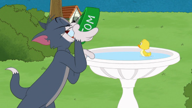 Imagen de El Show de Tom y... (T3): Pobre patito - 2