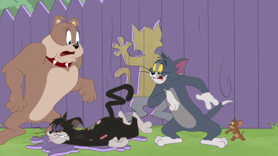 Imagen de El Show de Tom y... (T3): Vaya callejón - 2