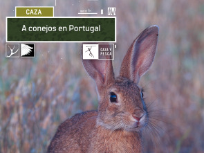 Imagen de A conejos en Portugal - 2