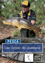 Imagen de Las carpas del Guadiana - 1