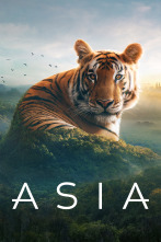 Imagen de Asia  - 1