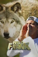 Imagen de Wild Frank: Lobos - 1