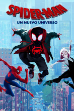 Imagen de Spider-Man: Un nuevo universo - 1