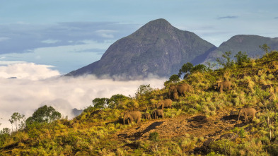 Imagen de Asia: Por las nubes - 5