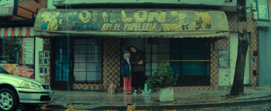 Imagen de Blondi - 12