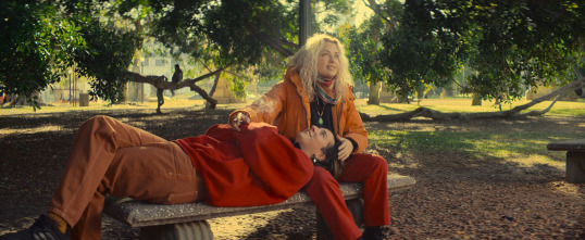 Imagen de Blondi - 14