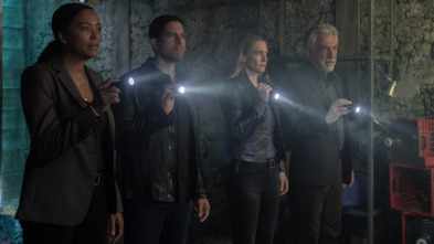 Imagen de Mentes... (T17): Ep.9 Barras y estrellas - 1
