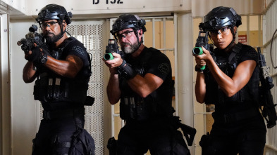 Imagen de S.W.A.T.:  Los... (T8): Ep.3 Perpetua - 1