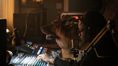 Imagen de Hudson & Rex (T6): Ep.16 Rex, drogas y rock and roll - 1
