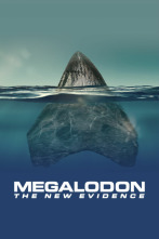 Imagen de Megalodón: más pruebas - 1