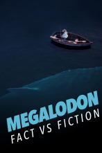 Imagen de Megalodón: verdad o mito - 1