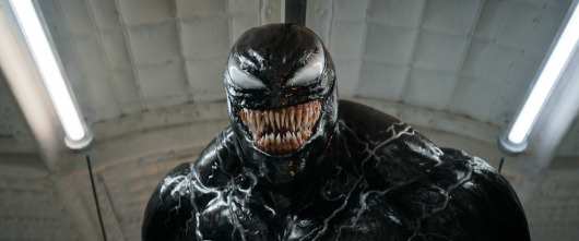 Imagen de Venom: el último baile - 4