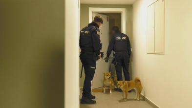 Imagen de 091: Alerta Policía (T7): Ep.2 - 2