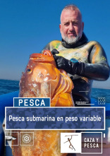 Imagen de Pesca submarina en peso variable - 1