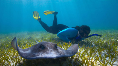 Imagen de El futuro de la naturaleza: Océanos - 1