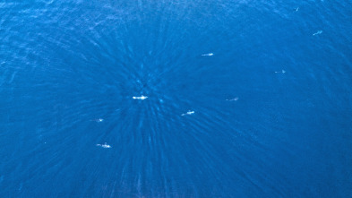 Imagen de El futuro de la naturaleza: Océanos - 2