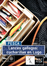 Imagen de Lances gallegos: cucharillas en Lugo - 1