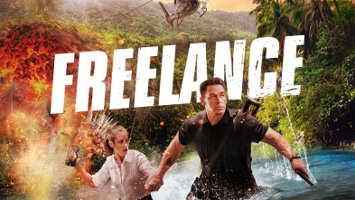 Imagen de Freelance - 2