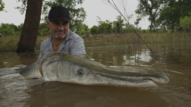Imagen de Los últimos gigantes (T4): Ep.5 - 9