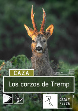 Imagen de Los corzos de Tremp - 1
