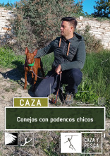 Imagen de Conejos con podenco chico - 1