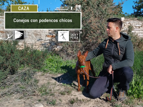 Imagen de Conejos con podenco chico - 2