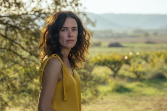 Imagen de Los destellos - 3