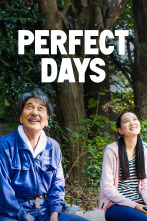 Imagen de Perfect Days - 1