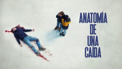 Imagen de Anatomía de una caída - 2
