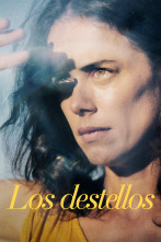 Imagen de Los destellos - 1