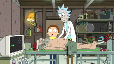 Imagen de Rick y Morty (T1): Ep.3 Parque anatómico - 2