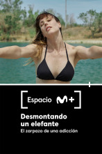 Imagen de Espacio M+ (T2): Desmontando un elefante. El zarpazo de una adicción - 1