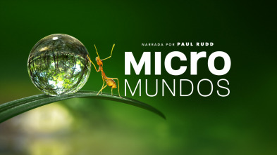 Imagen de Micromundos  - 2