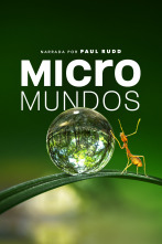 Imagen de Micromundos  - 1