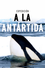Imagen de Expedición a la Antártida - 1