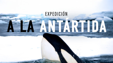 Imagen de Expedición a la Antártida - 2