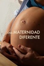 Imagen de Una maternidad diferente - 1