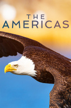 Imagen de The Americas  - 1
